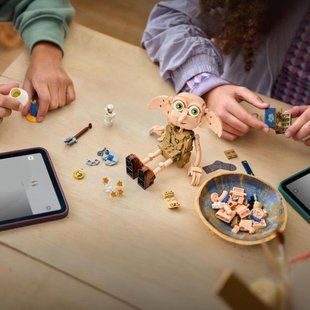 Конструктор LEGO Harry Potter 76469 Добби, свободный эльф, 379 деталей 76469 фото