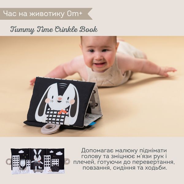 Набор игрушек для новорожденного Taf Toys Садик в городе Черно-белая гармония 13475 фото