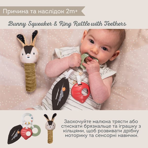 Набор игрушек для новорожденного Taf Toys Садик в городе Черно-белая гармония 13475 фото