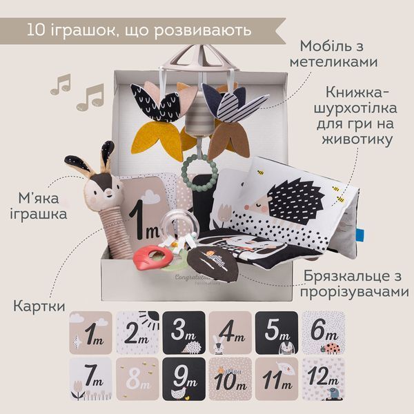 Набор игрушек для новорожденного Taf Toys Садик в городе Черно-белая гармония 13475 фото