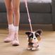 Интерактивная собака Furreal Walk-A-Lots Бернедудель 28056 фото 3